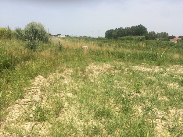 terreno in vendita a Vecchiano