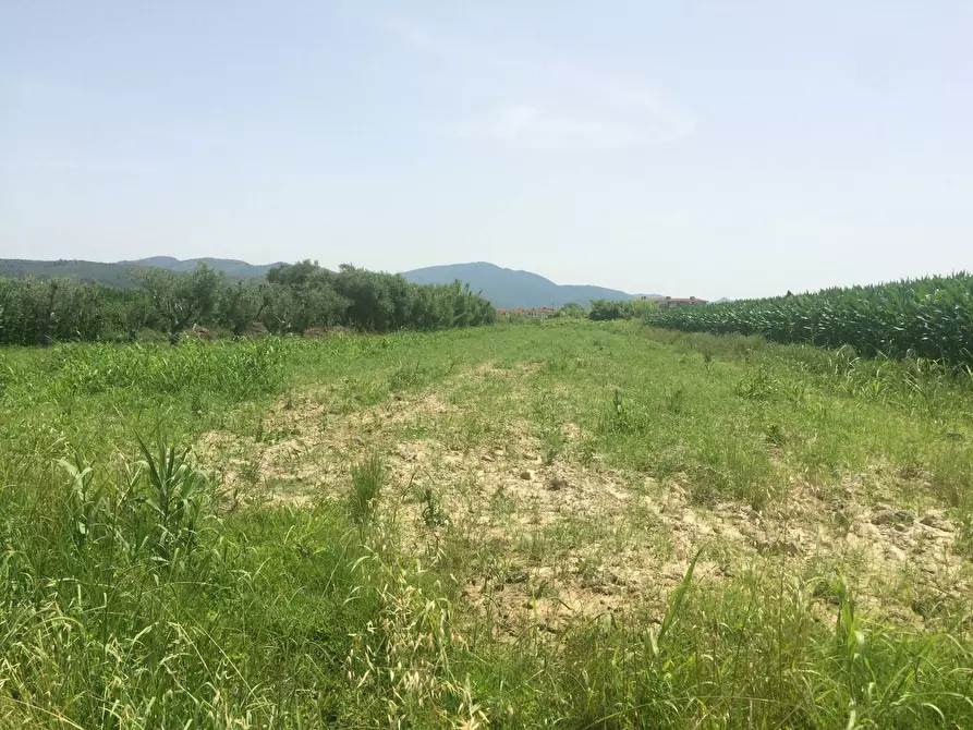 terreno in vendita a Vecchiano in zona Nodica