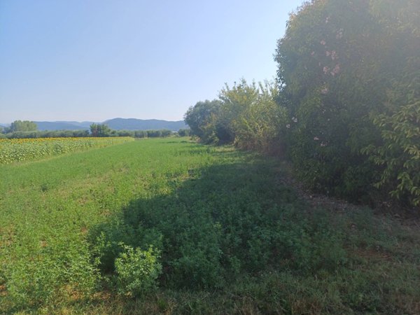 terreno in vendita a Vecchiano in zona Nodica