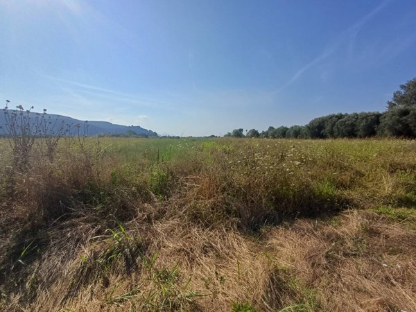 terreno in vendita a Vecchiano in zona Nodica