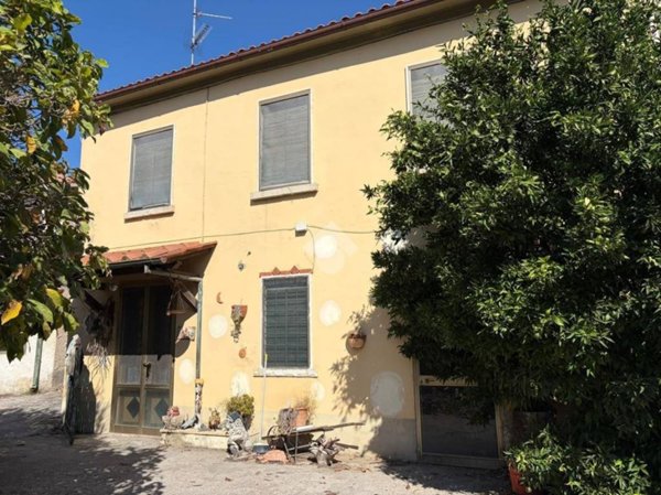 immagine annuncio 0 di 15