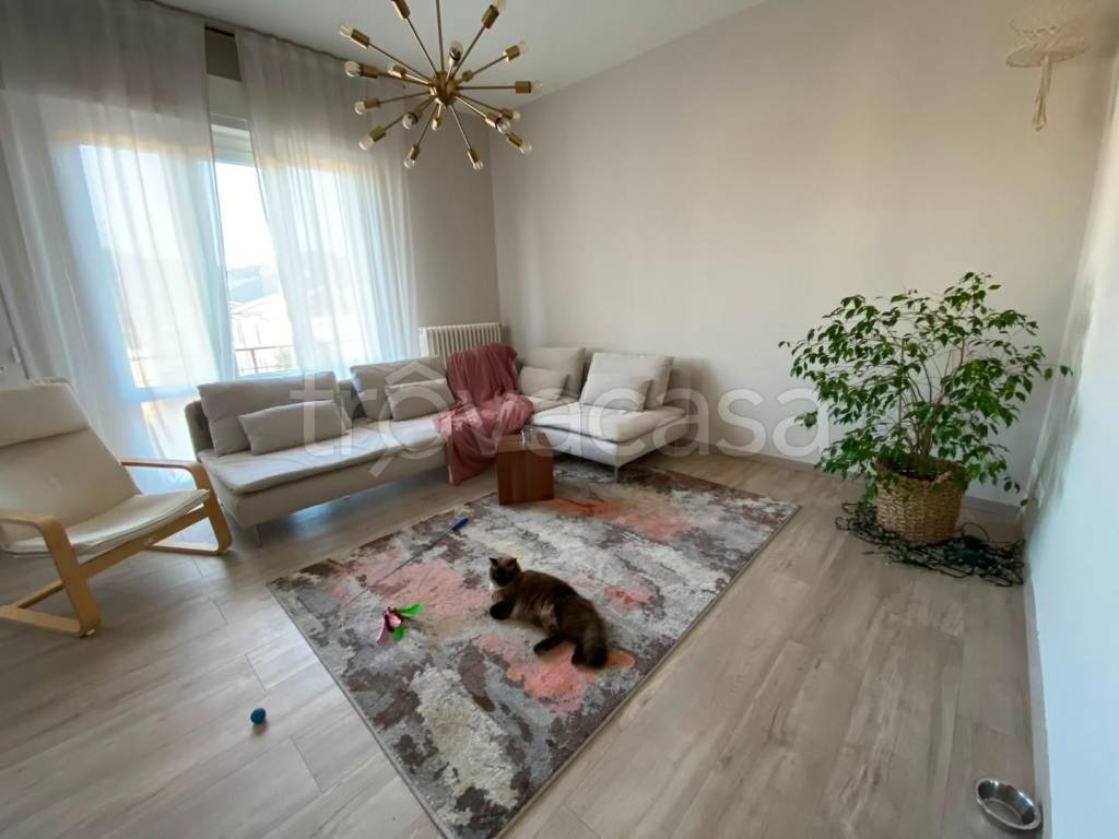appartamento in vendita a Vecchiano in zona Nodica