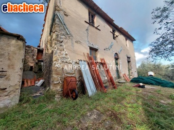 appartamento in vendita a Vicopisano