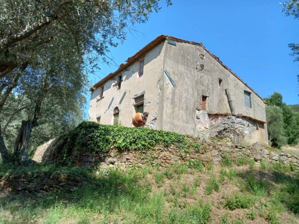 casa indipendente in vendita a Vicopisano