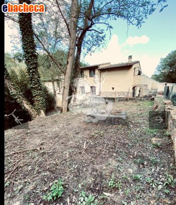 casa semindipendente in vendita a Vicopisano