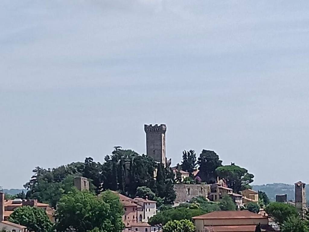 appartamento in vendita a Vicopisano