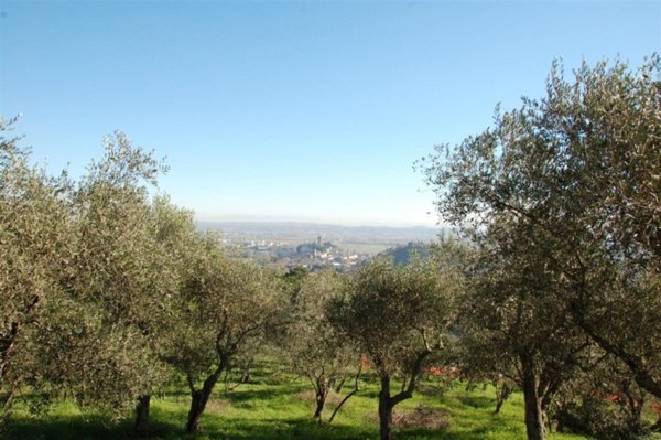 casa indipendente in vendita a Vicopisano