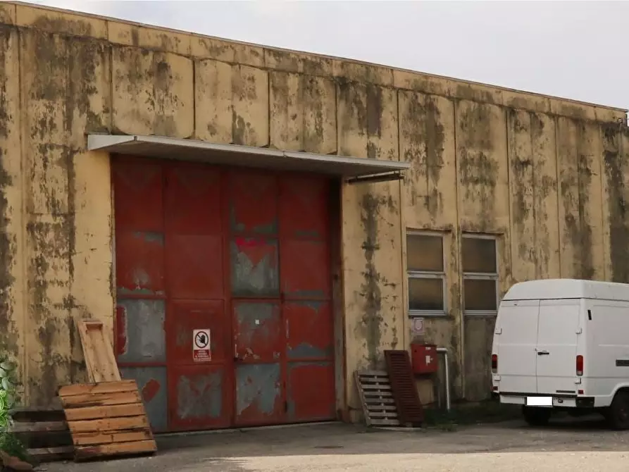 capannone in vendita a Vicopisano