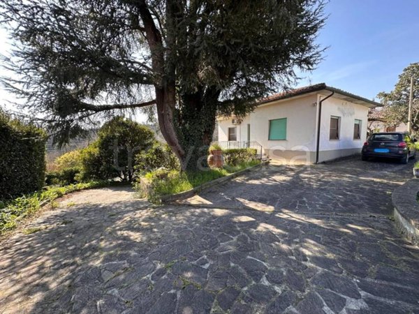 casa indipendente in vendita a Vicopisano