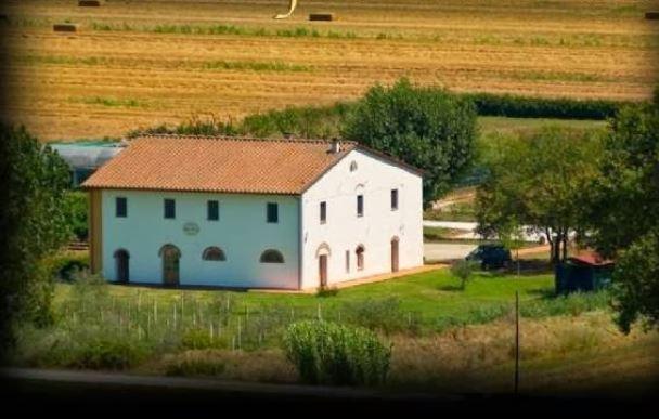 appartamento in vendita a Vicopisano