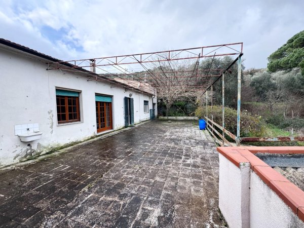 appartamento in vendita a Vicopisano