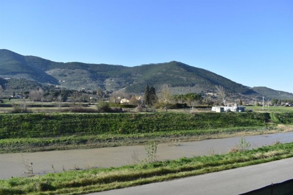 ufficio in vendita a Vicopisano