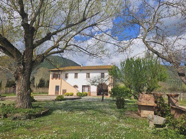 appartamento in vendita a Vicopisano in zona Caprona