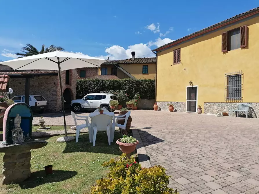 esavano in vendita a Vicopisano