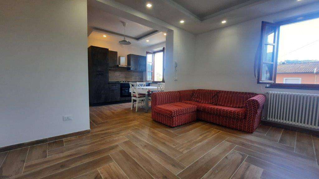 appartamento in vendita a Vicopisano
