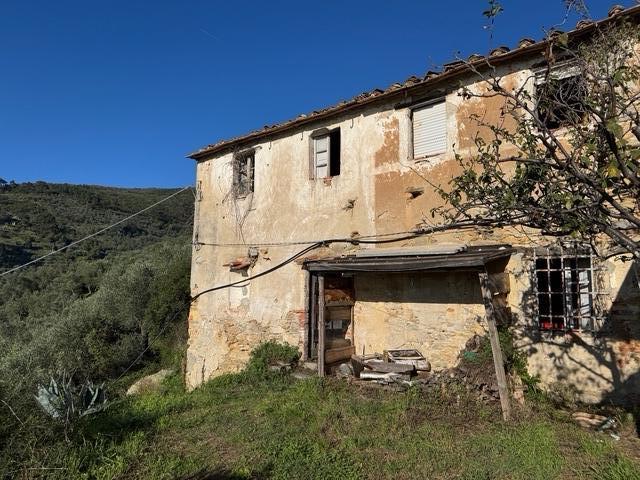 appartamento in vendita a Vicopisano