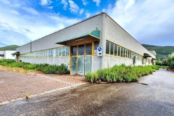 capannone in vendita a Vicopisano