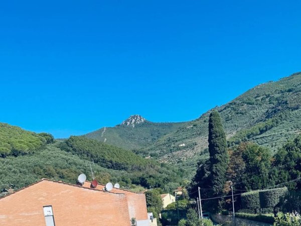 appartamento in vendita a Vicopisano