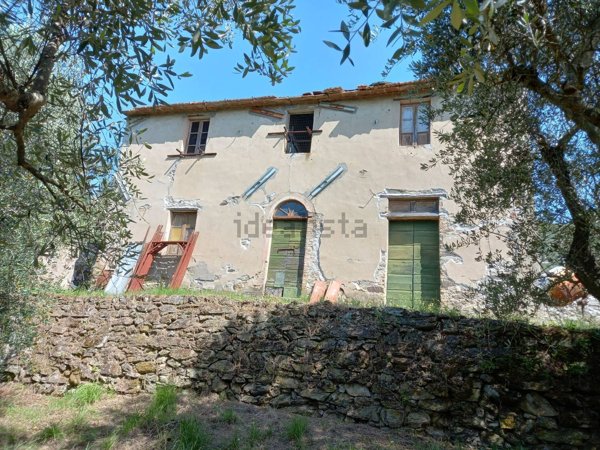 casa indipendente in vendita a Vicopisano