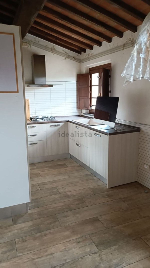 appartamento in vendita a Vicopisano