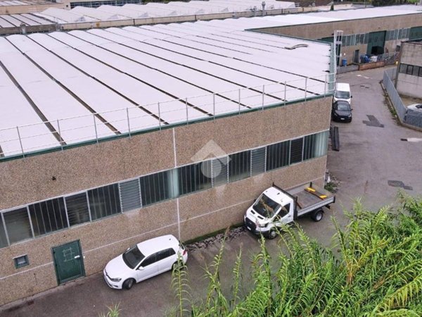 locale commerciale in vendita a Vicopisano