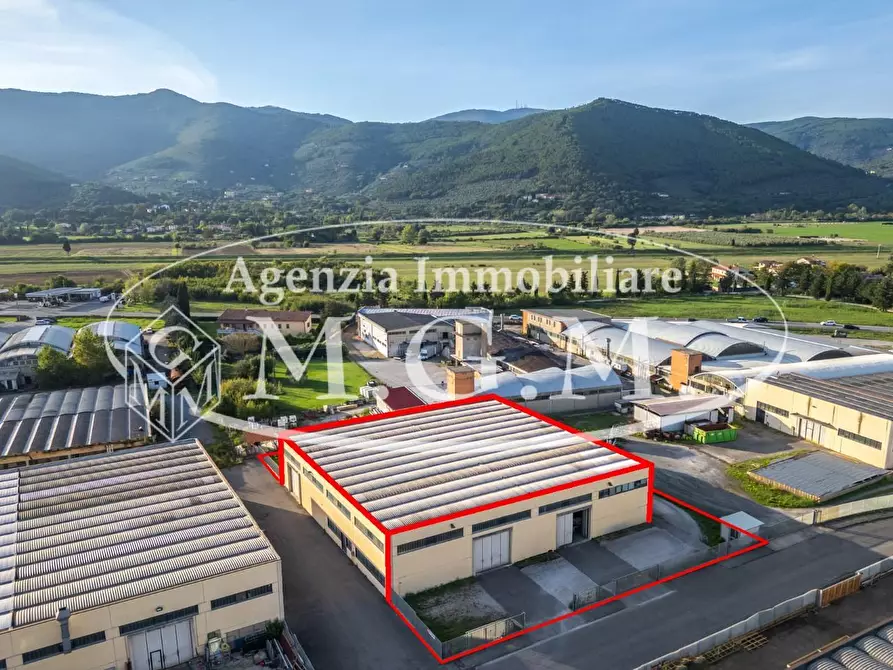 capannone in vendita a Vicopisano