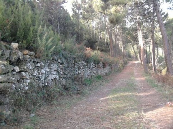 rudere in vendita a Vicopisano