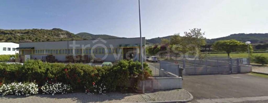 terreno agricolo in vendita a Vicopisano