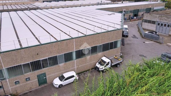 locale commerciale in vendita a Vicopisano