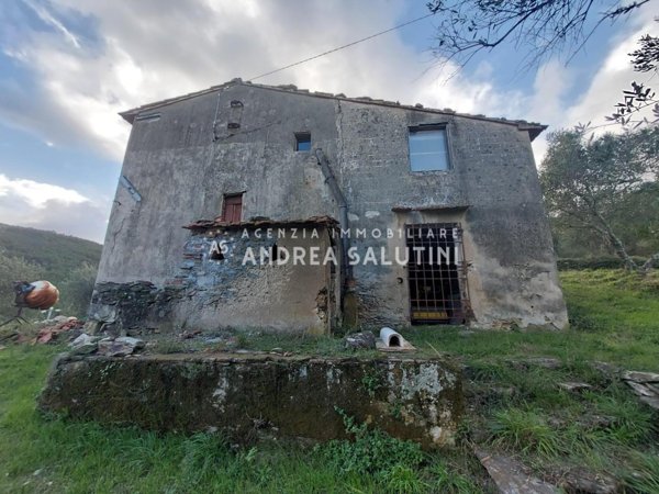 casa indipendente in vendita a Vicopisano