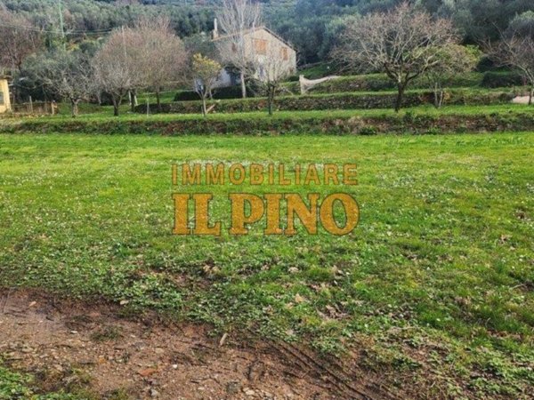 terreno agricolo in vendita a Vicopisano