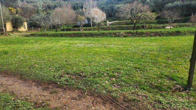 terreno agricolo in vendita a Vicopisano in zona San Giovanni alla Vena