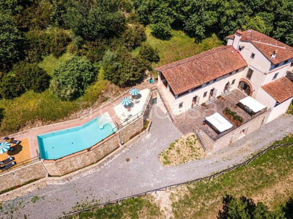 esavano in vendita a Vicopisano