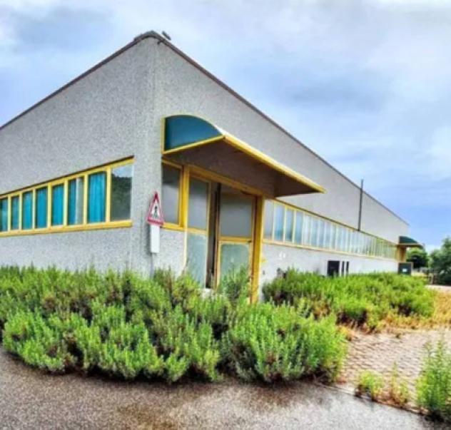 capannone in vendita a Vicopisano