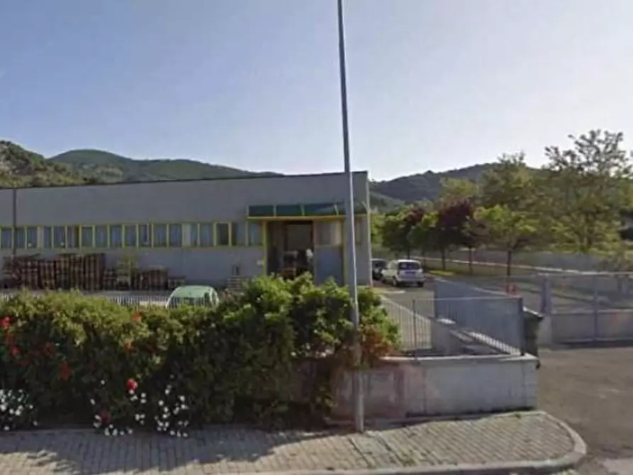 terreno agricolo in vendita a Vicopisano