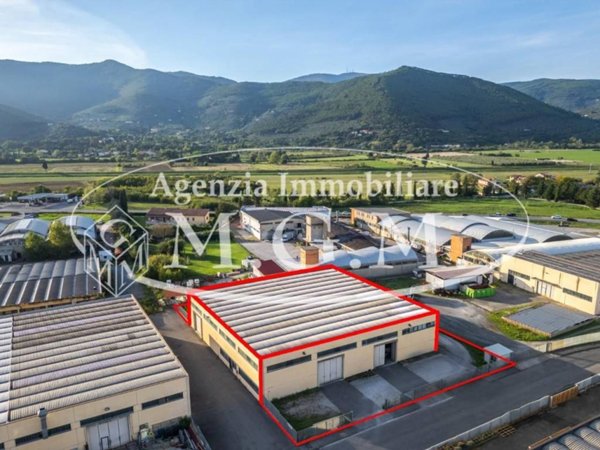 immagine annuncio 0 di 1