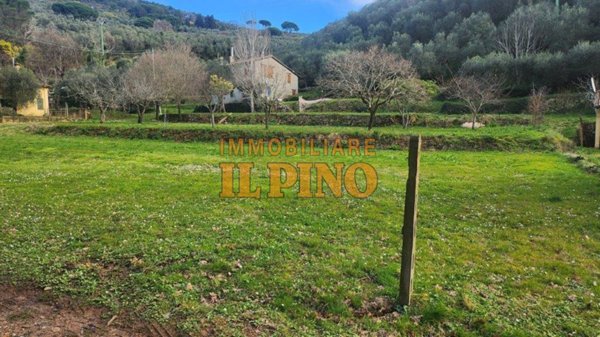 terreno agricolo in vendita a Vicopisano in zona San Giovanni alla Vena