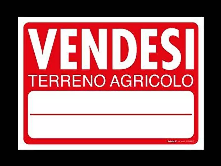 terreno agricolo in vendita a Vicopisano