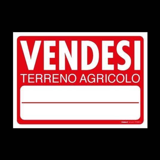 terreno agricolo in vendita a Vicopisano