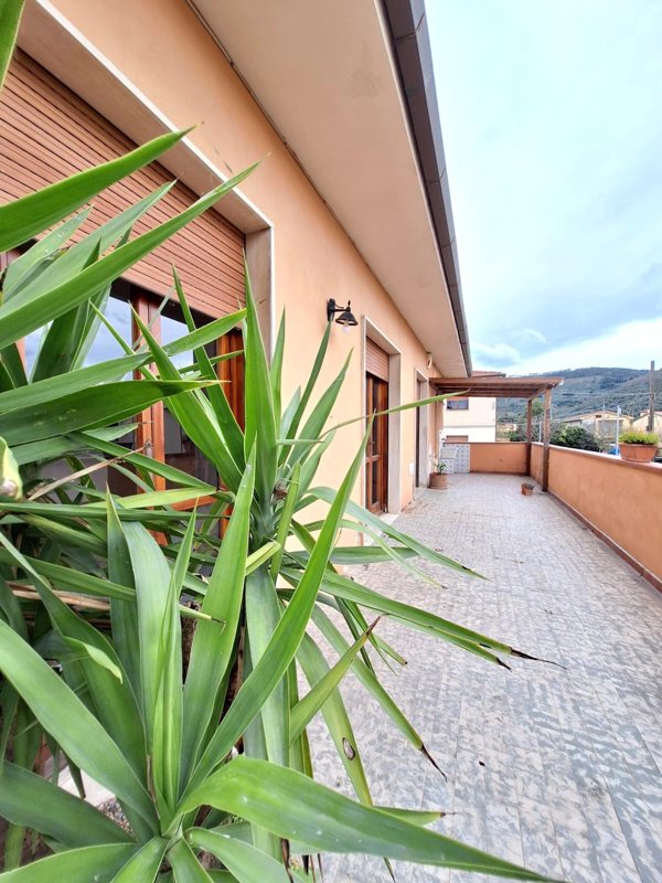 appartamento in vendita a Vicopisano