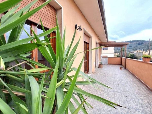 appartamento in vendita a Vicopisano