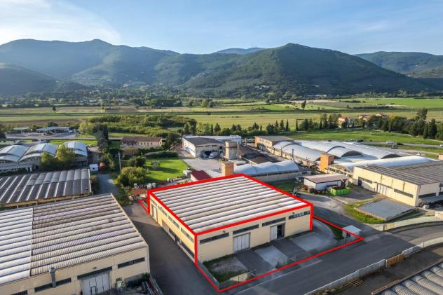 capannone in vendita a Vicopisano