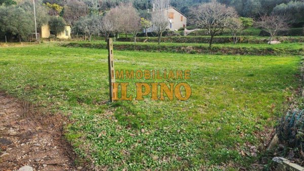 terreno agricolo in vendita a Vicopisano in zona San Giovanni alla Vena