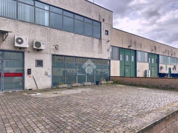 negozio in vendita a Vicopisano