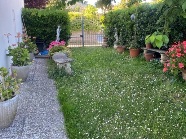 casa indipendente in vendita a Vicopisano