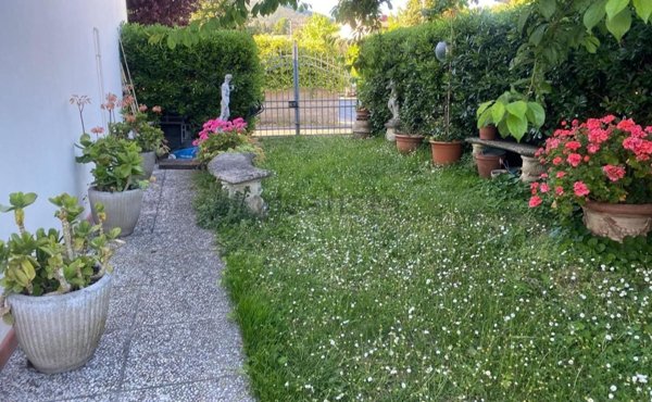 casa indipendente in vendita a Vicopisano