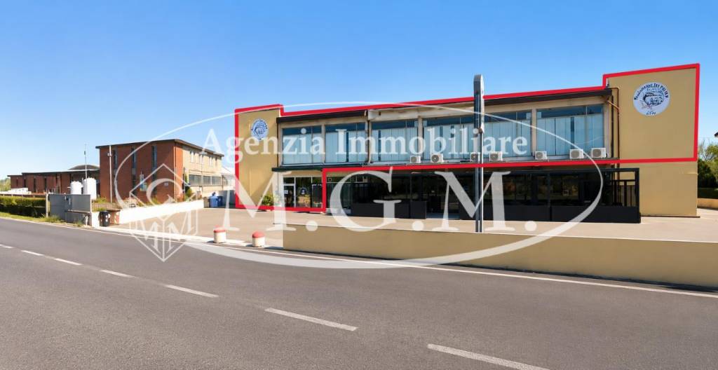 negozio in vendita a Vicopisano