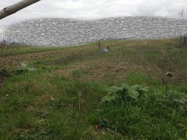 terreno agricolo in vendita a Vicopisano in zona San Giovanni alla Vena