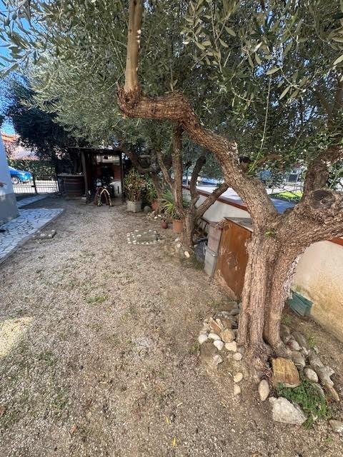 appartamento in vendita a Vicopisano