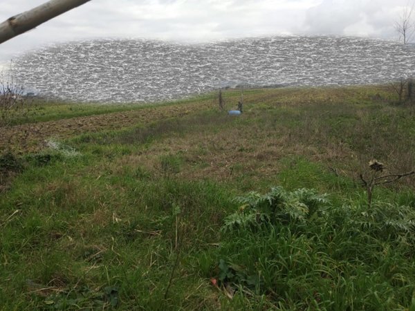 terreno agricolo in vendita a Vicopisano in zona San Giovanni alla Vena